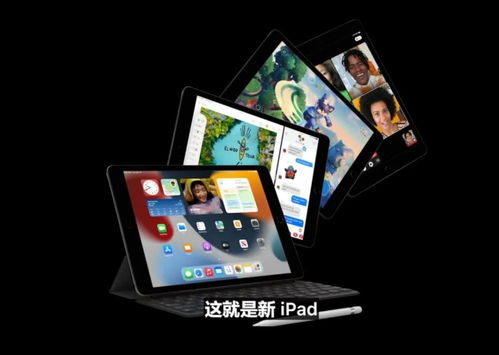 新奥彩精准免费资料查询_引发热议与讨论_iPad24.31.31