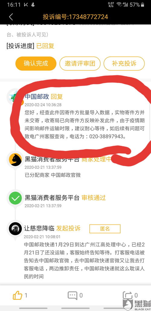 新奥天天免费资料单双中特_详细解答解释落实_网页版v413.857