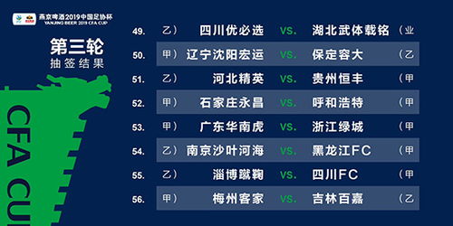 揭秘新澳精准资料免费提供_精彩对决解析_实用版155.682