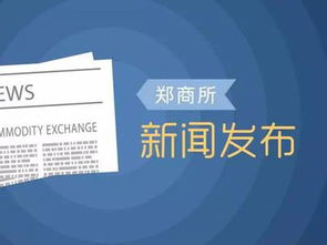 2024新澳100期今晚资料_详细解答解释落实_GM版v49.81.35