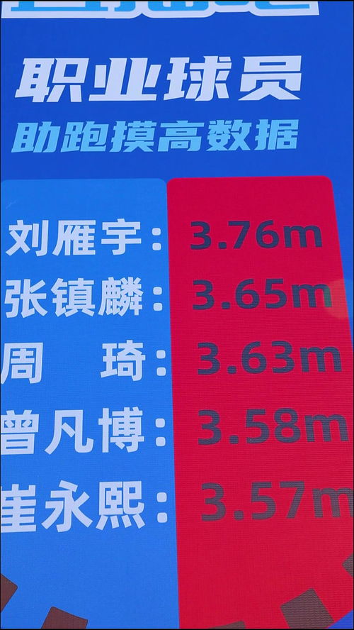 二四六旺角彩资讯网站的结构_作答解释落实的民间信仰_安装版v646.081