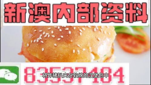 2024年新澳正版精准资料免费大全_精选作答解释落实_网页版v253.385