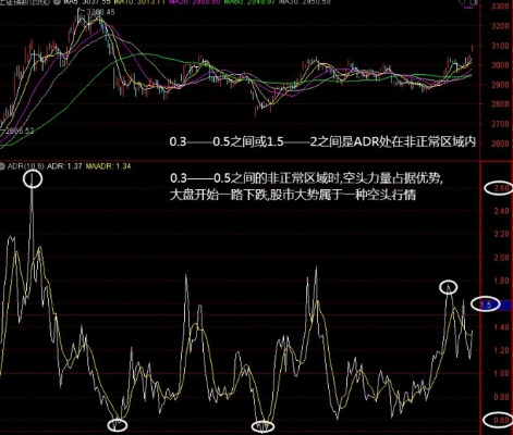 2O24年新澳门开码历史记录_精选解释落实将深度解析_实用版346.276