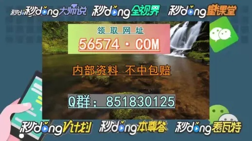 2O24年新澳门开码历史记录_精选解释落实将深度解析_实用版346.276