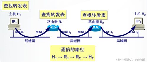 跑狗37197全网最准_精选解释落实将深度解析_安卓版440.051