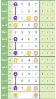 2024今晚澳门开什么特马_详细解答解释落实_安装版v250.693