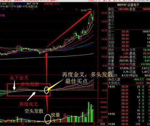 澳门码今晚开什么特马精准_详细解答解释落实_3DM05.30.96