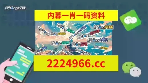 2024年新奥门开奖结果查询_详细解答解释落实_手机版815.078