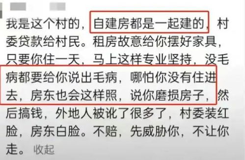 提灯定损，深度解析百度百科中的核心要素  提灯定损百度百科