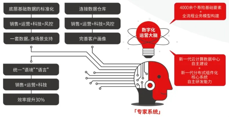 采用的力量，引领创新与发展的核心驱动力  采用