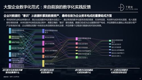 Dailyroads，探索数字化时代的智慧之路  dailyroads