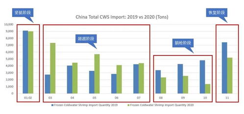 新疆时时彩走势图，探索与解析  新疆时时彩走势图