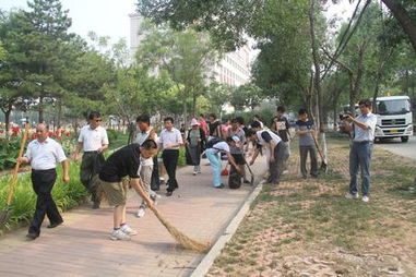 欧美性动态图:朝阳体育局，引领城市体育发展的先锋力量