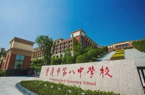 重庆巴蜀中学网站:U20韩国与几内亚的青春对决