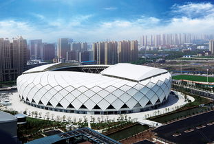 高义白洁全文180章:体育场英文，Stadium