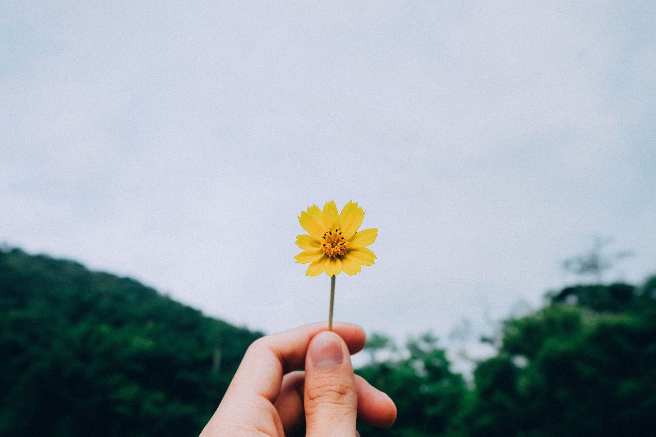 我与疫情，生活的转变与感悟